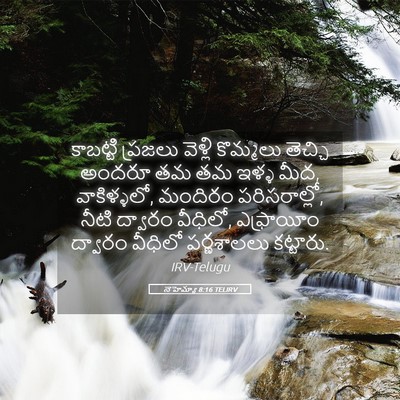 Picture 05 - నెహెమ్యా 8:16 TELIRV - కాబట్టి ప్రజలు - Bible Verse Picture