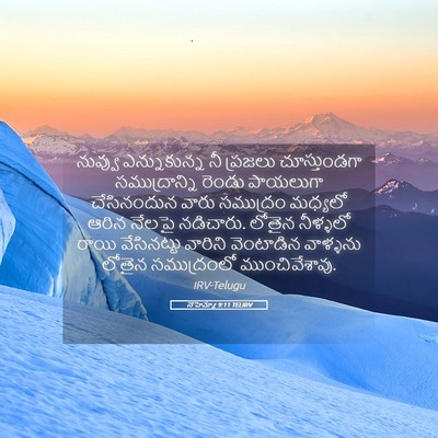 Picture 05 - నెహెమ్యా 9:11 TELIRV - నువ్వు ఎన్నుకున్న - Bible Verse Picture