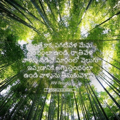 Picture 05 - నెహెమ్యా 9:12 TELIRV - అంతే కాక, పగటివేళ - Bible Verse Picture