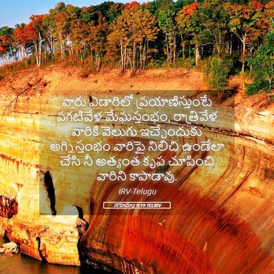 Picture 05 - నెహెమ్యా 9:19 TELIRV - వారు ఎడారిలో - Bible Verse Picture