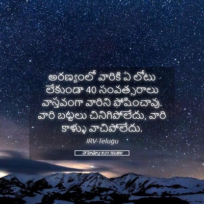 Picture 05 - నెహెమ్యా 9:21 TELIRV - అరణ్యంలో వారికి ఏ - Bible Verse Picture