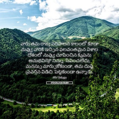 Picture 05 - నెహెమ్యా 9:35 TELIRV - వారు తమ రాజ్య - Bible Verse Picture