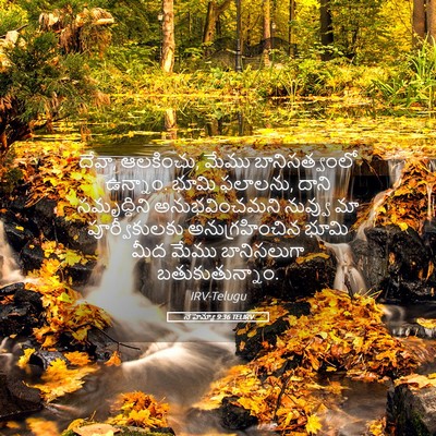 Picture 05 - నెహెమ్యా 9:36 TELIRV - దేవా, ఆలకించు, మేము - Bible Verse Picture