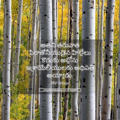 Picture 05 - న్యాయాధిపతులు 12:13 TELIRV - అతని తరువాత - Bible Verse Picture