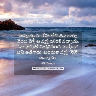 Picture 05 - న్యాయాధిపతులు 13:11 TELIRV - అప్పుడు మనోహ లేచి - Bible Verse Picture