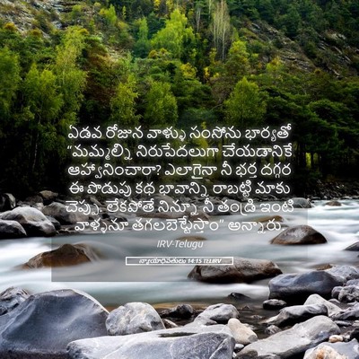 Picture 05 - న్యాయాధిపతులు 14:15 TELIRV - ఏడవ రోజున వాళ్ళు - Bible Verse Picture