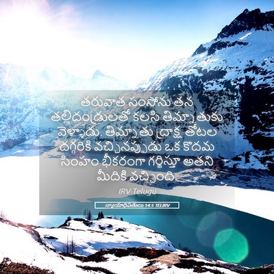 Picture 05 - న్యాయాధిపతులు 14:5 TELIRV - తరువాత సంసోను తన - Bible Verse Picture
