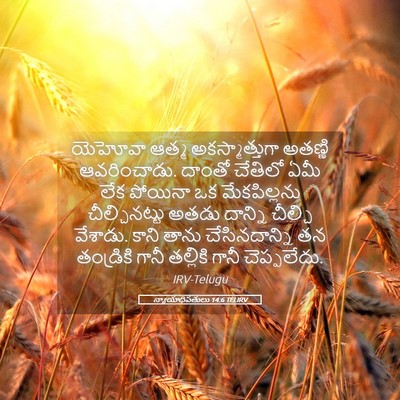 Picture 05 - న్యాయాధిపతులు 14:6 TELIRV - యెహోవా ఆత్మ - Bible Verse Picture