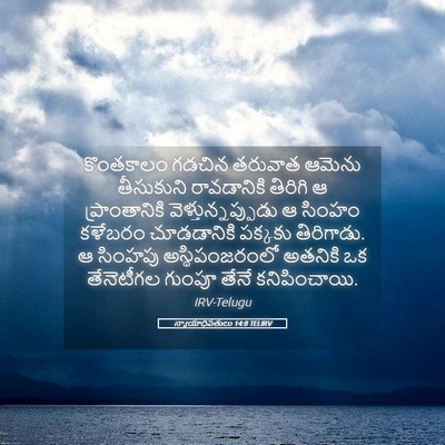 Picture 05 - న్యాయాధిపతులు 14:8 TELIRV - కొంతకాలం గడచిన - Bible Verse Picture
