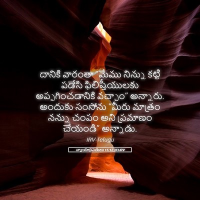 Picture 05 - న్యాయాధిపతులు 15:12 TELIRV - దానికి వారంతా - Bible Verse Picture
