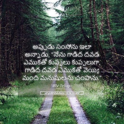 Picture 05 - న్యాయాధిపతులు 15:16 TELIRV - అప్పుడు సంసోను - Bible Verse Picture