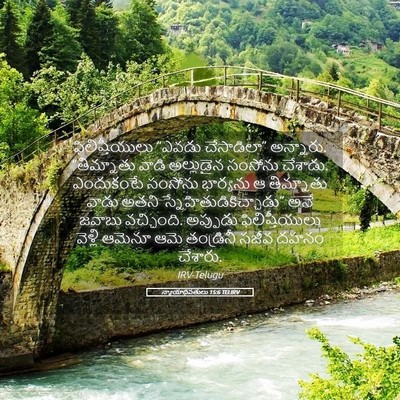 Picture 05 - న్యాయాధిపతులు 15:6 TELIRV - ఫిలిష్తీయులు - Bible Verse Picture