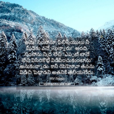 Picture 05 - న్యాయాధిపతులు 16:20 TELIRV - ఆమె “సంసోనూ, - Bible Verse Picture