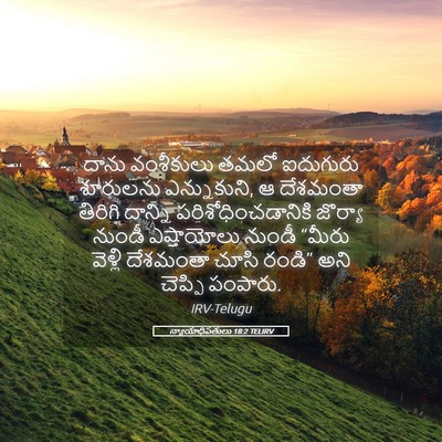 Picture 05 - న్యాయాధిపతులు 18:2 TELIRV - దాను వంశీకులు - Bible Verse Picture