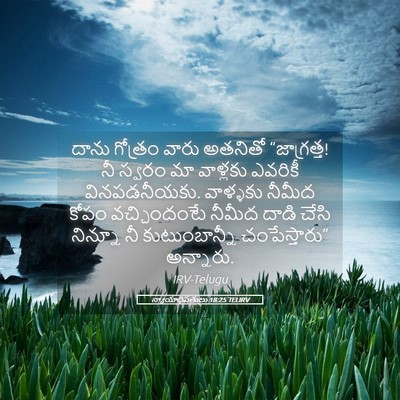 Picture 05 - న్యాయాధిపతులు 18:25 TELIRV - దాను గోత్రం వారు - Bible Verse Picture
