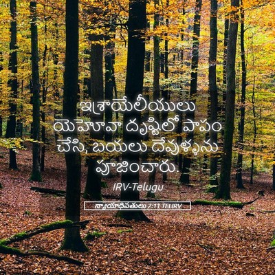 Picture 05 - న్యాయాధిపతులు 2:11 TELIRV - ఇశ్రాయేలీయులు - Bible Verse Picture
