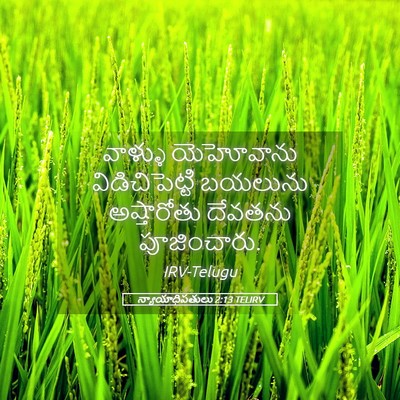 Picture 05 - న్యాయాధిపతులు 2:13 TELIRV - వాళ్ళు యెహోవాను - Bible Verse Picture