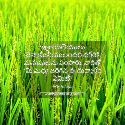 Picture 05 - న్యాయాధిపతులు 20:12 TELIRV - ఇశ్రాయేలీయులు - Bible Verse Picture