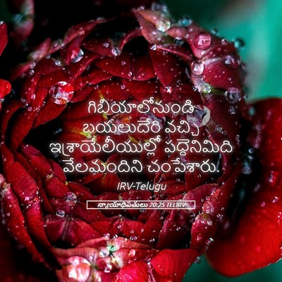 Picture 05 - న్యాయాధిపతులు 20:25 TELIRV - గిబియాలోనుండి - Bible Verse Picture