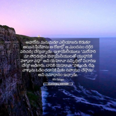 Picture 05 - న్యాయాధిపతులు 20:28 TELIRV - అహరోను మనుమడూ - Bible Verse Picture