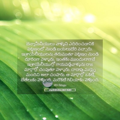 Picture 05 - న్యాయాధిపతులు 20:31 TELIRV - బెన్యామీనీయులు - Bible Verse Picture