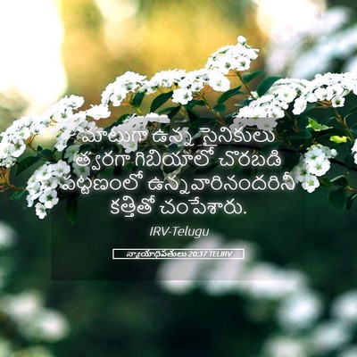 Picture 05 - న్యాయాధిపతులు 20:37 TELIRV - మాటుగా ఉన్న - Bible Verse Picture