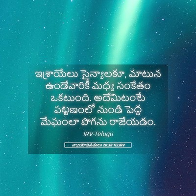 Picture 05 - న్యాయాధిపతులు 20:38 TELIRV - ఇశ్రాయేలు - Bible Verse Picture