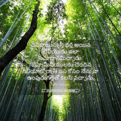 Picture 05 - న్యాయాధిపతులు 20:4 TELIRV - చనిపోయిన స్త్రీ - Bible Verse Picture