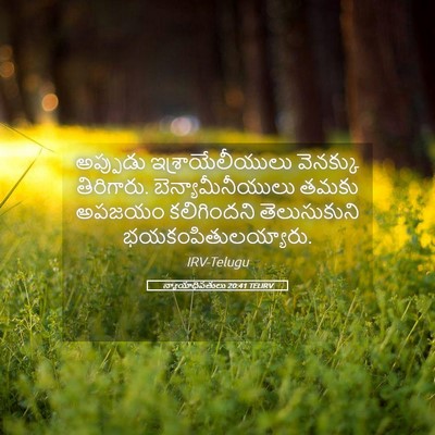 Picture 05 - న్యాయాధిపతులు 20:41 TELIRV - అప్పుడు - Bible Verse Picture