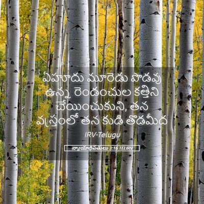 Picture 05 - న్యాయాధిపతులు 3:16 TELIRV - ఏహూదు మూరెడు - Bible Verse Picture
