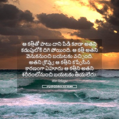 Picture 05 - న్యాయాధిపతులు 3:22 TELIRV - ఆ కత్తితో పాటు - Bible Verse Picture