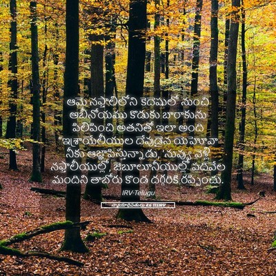 Picture 05 - న్యాయాధిపతులు 4:6 TELIRV - ఆమె నఫ్తాలిలోని - Bible Verse Picture