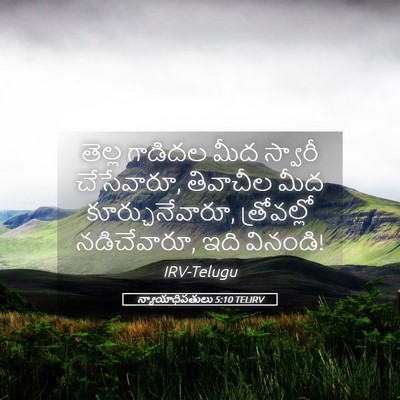 Picture 05 - న్యాయాధిపతులు 5:10 TELIRV - తెల్ల గాడిదల మీద - Bible Verse Picture