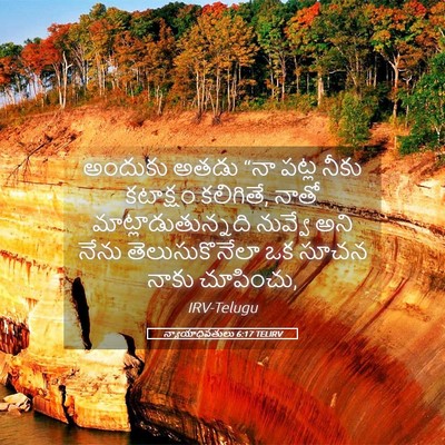 Picture 05 - న్యాయాధిపతులు 6:17 TELIRV - అందుకు అతడు “నా - Bible Verse Picture