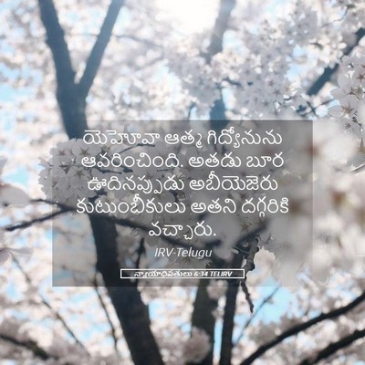 Picture 05 - న్యాయాధిపతులు 6:34 TELIRV - యెహోవా ఆత్మ - Bible Verse Picture