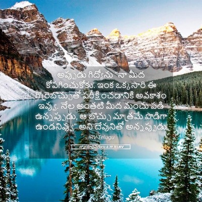 Picture 05 - న్యాయాధిపతులు 6:39 TELIRV - అప్పుడు గిద్యోను - Bible Verse Picture