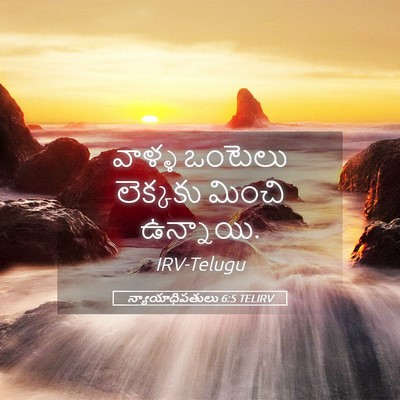 Picture 05 - న్యాయాధిపతులు 6:5 TELIRV - వాళ్ళ ఒంటెలు - Bible Verse Picture