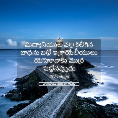 Picture 05 - న్యాయాధిపతులు 6:7 TELIRV - మిద్యానీయుల వల్ల - Bible Verse Picture