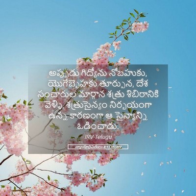 Picture 05 - న్యాయాధిపతులు 8:11 TELIRV - అప్పుడు గిద్యోను - Bible Verse Picture
