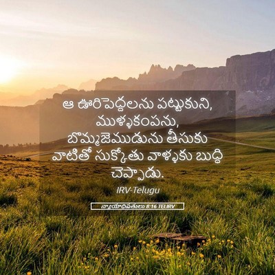 Picture 05 - న్యాయాధిపతులు 8:16 TELIRV - ఆ ఊరిపెద్దలను - Bible Verse Picture