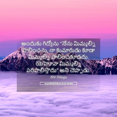 Picture 05 - న్యాయాధిపతులు 8:23 TELIRV - అందుకు గిద్యోను - Bible Verse Picture
