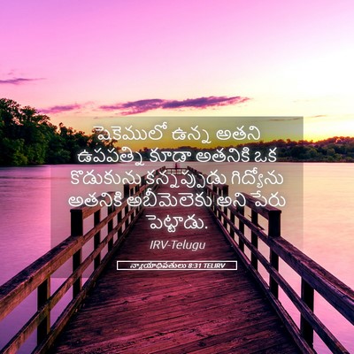 Picture 05 - న్యాయాధిపతులు 8:31 TELIRV - షెకెములో ఉన్న - Bible Verse Picture