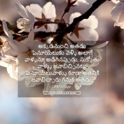 Picture 05 - న్యాయాధిపతులు 8:8 TELIRV - అక్కడనుంచి అతడు - Bible Verse Picture