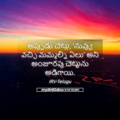 Picture 05 - న్యాయాధిపతులు 9:10 TELIRV - అప్పుడు చెట్లు, - Bible Verse Picture