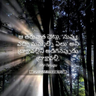 Picture 05 - న్యాయాధిపతులు 9:12 TELIRV - ఆ తరువాత చెట్లు, - Bible Verse Picture