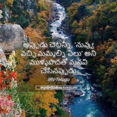 Picture 05 - న్యాయాధిపతులు 9:14 TELIRV - అప్పుడు - Bible Verse Picture