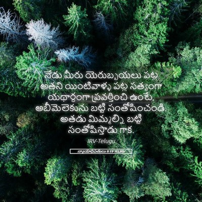 Picture 05 - న్యాయాధిపతులు 9:19 TELIRV - నేడు మీరు - Bible Verse Picture