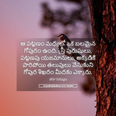 Picture 05 - న్యాయాధిపతులు 9:51 TELIRV - ఆ పట్టణం మధ్యలో ఒక - Bible Verse Picture