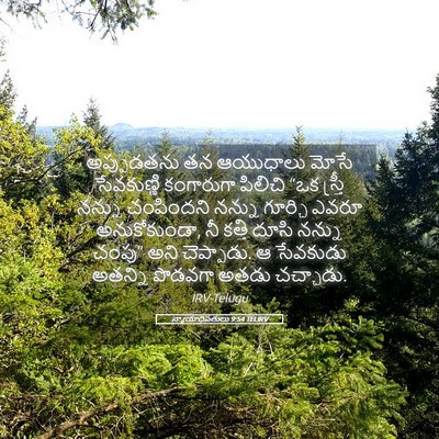 Picture 05 - న్యాయాధిపతులు 9:54 TELIRV - అప్పుడతను తన - Bible Verse Picture