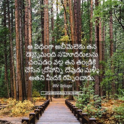 Picture 05 - న్యాయాధిపతులు 9:56 TELIRV - ఆ విధంగా - Bible Verse Picture